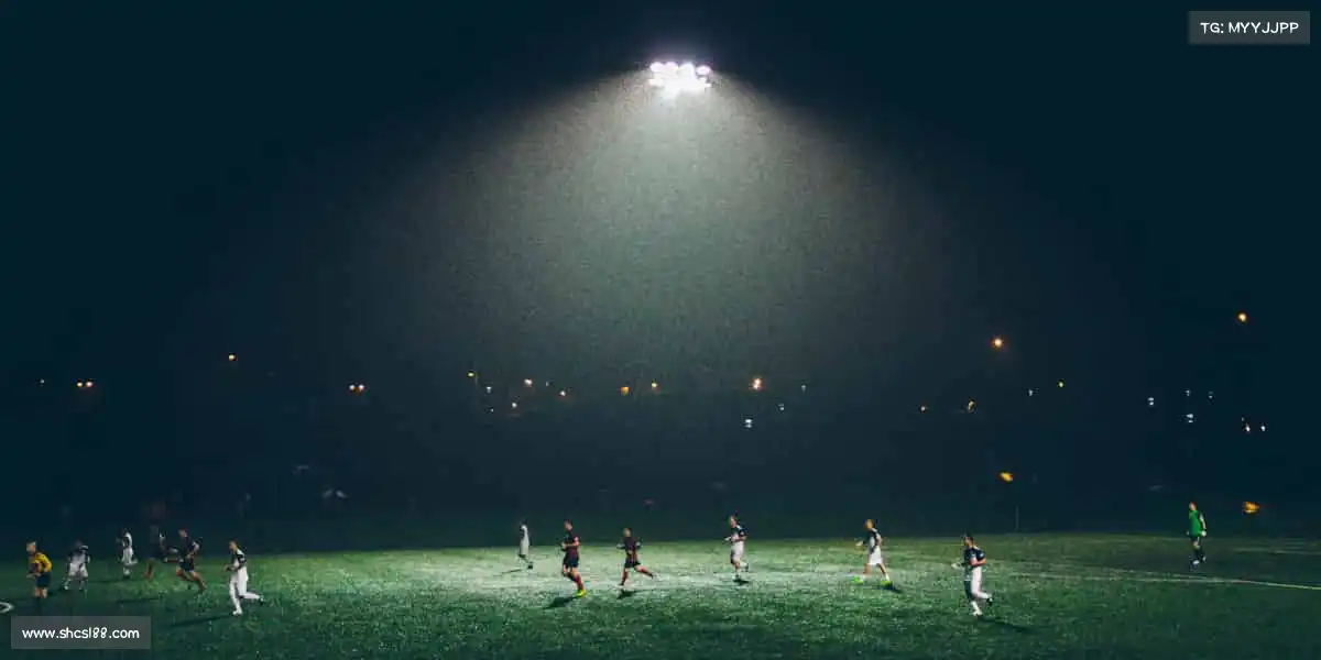 大红鹰dhy0033——🏆体育精神,永不止步!